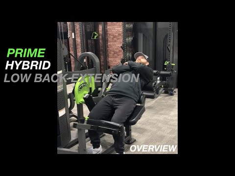 HYBRID  Low Back Extension - PRIME Fitness USA