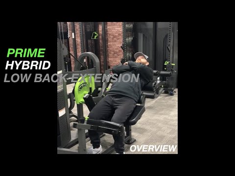 HYBRID | Low Back Extension - PRIME Fitness USA